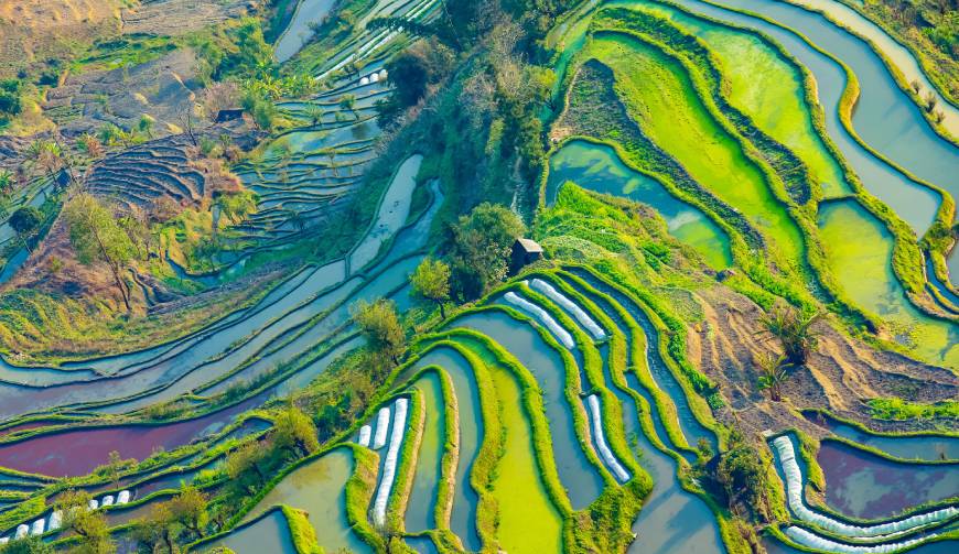 宝妈必备神器：鲅鱼圈区产品视频拍摄轻松育儿好帮手